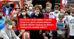 Şerdil Dara Odabaşı’nin HDP’nin korsan eyleminde ne işi var?
