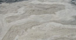 Salyalar denizin dibini de üstünü de kapladı