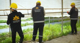 Sultanbeyli’de kurban hazırlıkları tüm hızıyla sürüyor