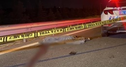 TEM Otoyolu’nda yolun karşısına geçmeye çalışırken otomobil çarptı