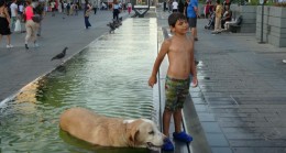 Taksim’de sıcak havadan bunalan çocuk ve köpek süs havuzunda serinledi