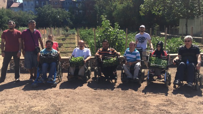 Üsküdarlı engelli vatandaşların hasat zamanı