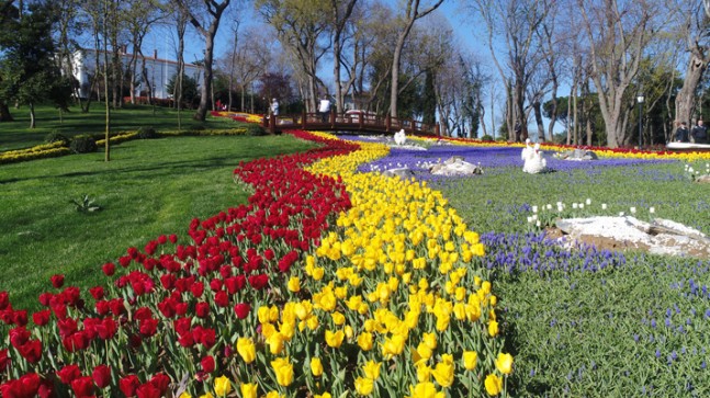 Laleler, adeta İstanbul’a serildi