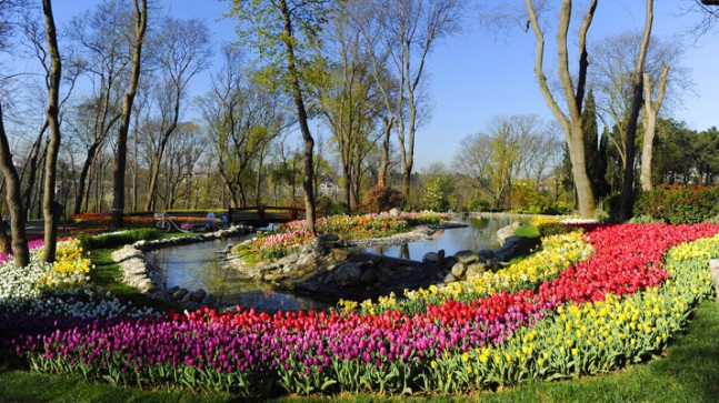 Laleler İstanbul’u güzelleştiriyor