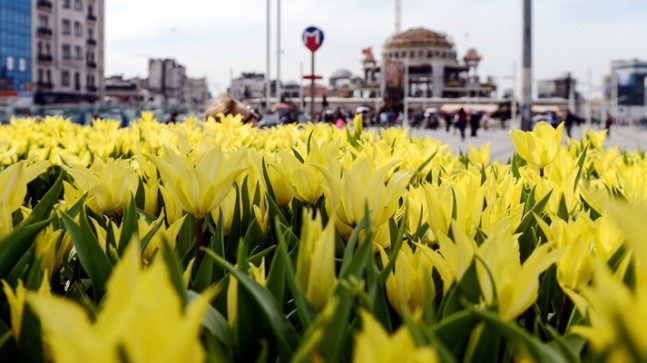 Taksim Meydanı lalelerle buluştu