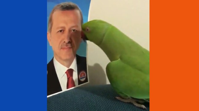 Papağan’ın Recep Tayyip Erdoğan sevgisi