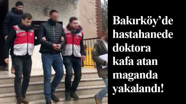 Doktora kafa atan o ayı yakalandı!