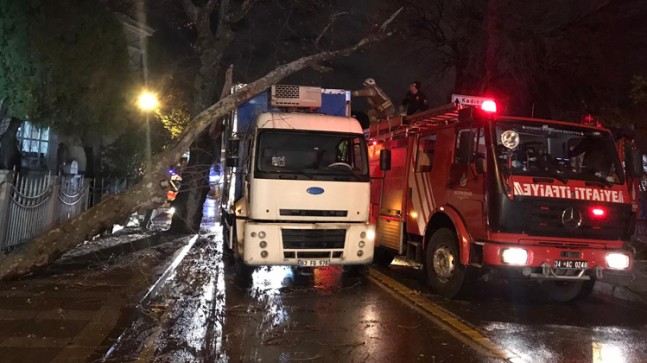 Kamyon ağaca çarparak durabildi!