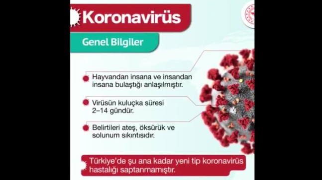 Koronavirüs nedir?