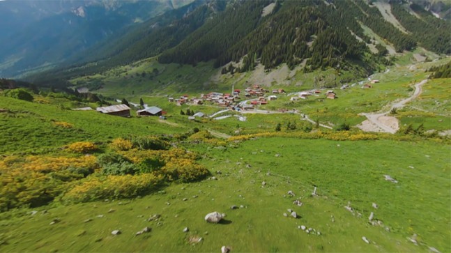 Doğadaki renklerin eşsiz uyumu