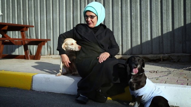 Emine Erdoğan, ‘Leblebi’ isimli engelli bir köpeği de sahiplendi