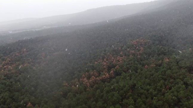 Kar sonunda İstanbul’a ulaştı