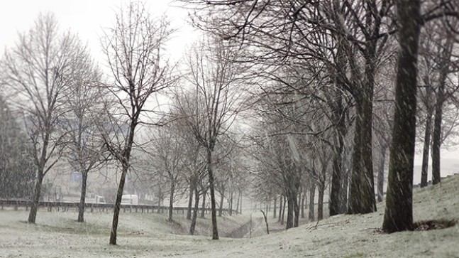 Kar yağışı başladı