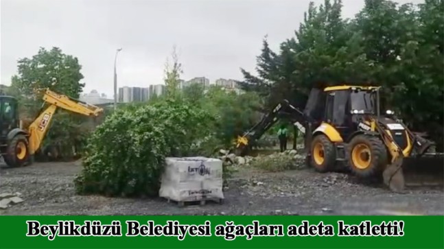 Beylikdüzü Belediyesi’nden ağaç katliamı