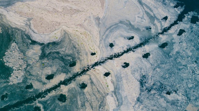 İstanbul sahillerini saran müsilaj, pek bitecek gibi görünmüyor!