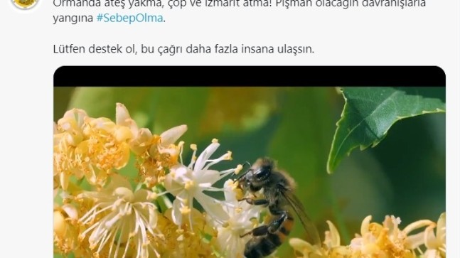 Orman Genel Müdürlüğü’nden farkındalık paylaşımı