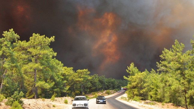 Yangınların 145’i söndürüldü, 9’u devam ediyor