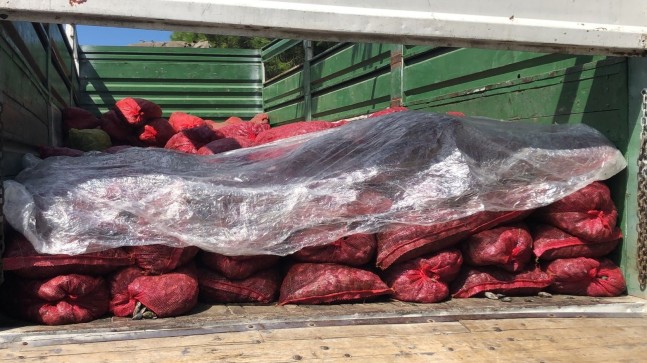 Halde 6 ton kaçak midye yakalandı