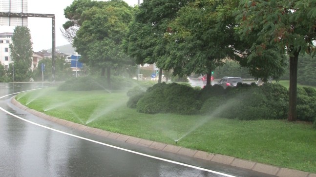 İBB, yağmur yağarken çim suladı!