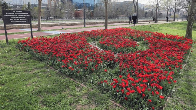 Kağıthane’de lale mevsimi başladı