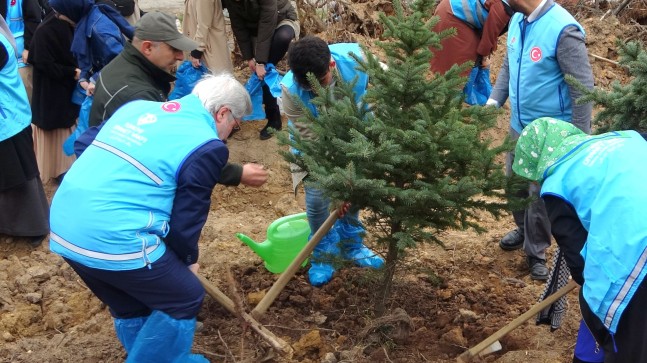 Şile’de Filistinliler için 10 bin fidan toprakla buluştu 