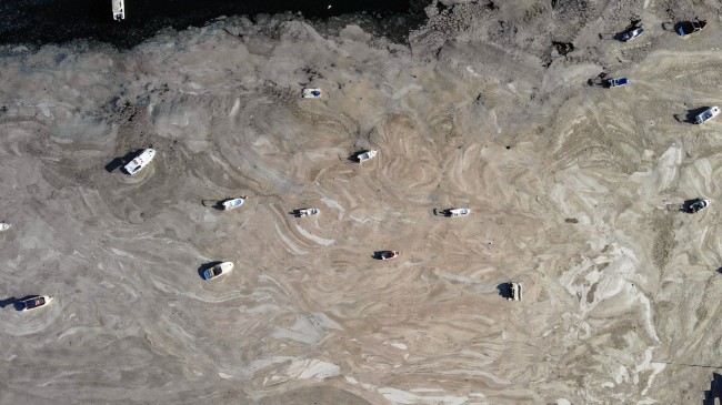 Burası Kadıköy Fenerbahçe Sahili