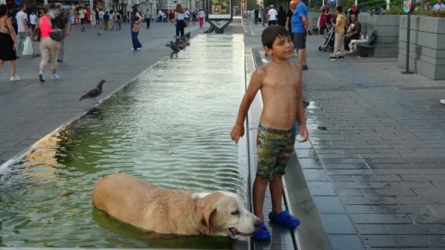 Taksim’de sıcak havadan bunalan çocuk ve köpek süs havuzunda serinledi