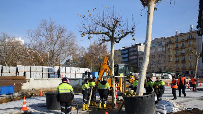 Taksim Meydanı’na 58 ağaç!