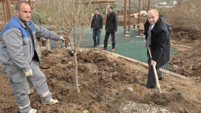 Beykoz Belediyesi’nin meyve bahçesinde bahar hazırlığı