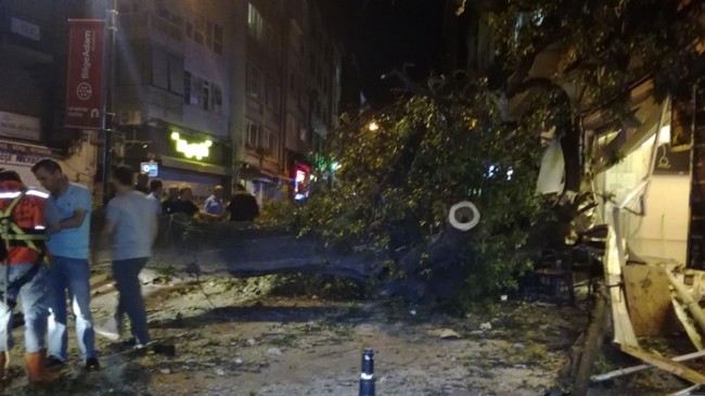 Kadıköy’de asırlık ağaç devrildi