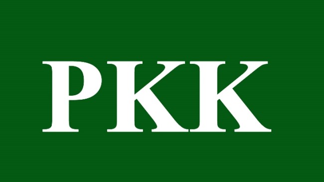 Sosyal medya PKK sevicileri gözaltında