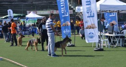 Çekmeköy’de köpekler kıyasıya yarıştı