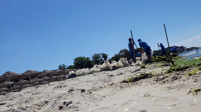 İBB’den sahillerde atık temizliği