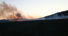 Aydos Ormanları’nda yangın