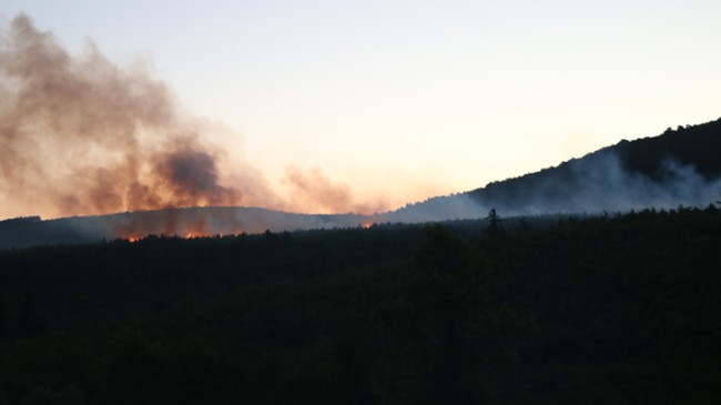 Aydos Ormanları’nda yangın