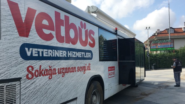 İBB Vetbüs, Çekmeköy’de hayvanları sağlık kontrolünden geçirdi