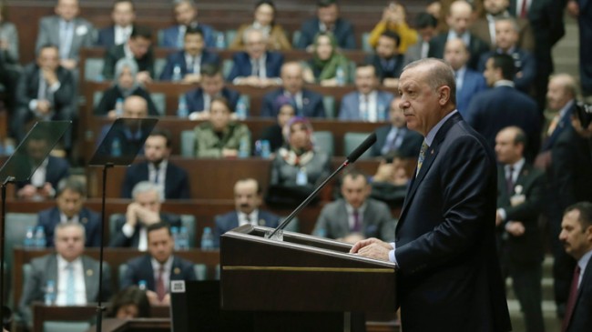 Başkan Erdoğan, ”Cinsini cibilliyetini bilmeyenler bu işten anlamazlar”