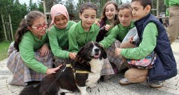 İBB’den çocuklara sokak hayvanlarının bakımı ve beslenmeleri ile ilgili eğitim