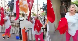 Türk Bayrağını yırtan geziciye hapis!