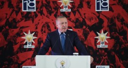 Erdoğan, “AK Parti, organik bir partidir”