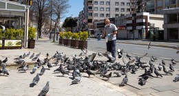 Çekmeköy Belediyesi, sokaklardaki hayvanları unutmadı