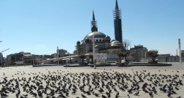 Taksim Meydanı özgür kuşlara kaldı