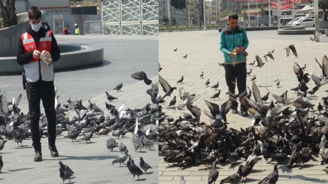 Taksim Meydanı’nın güvercinleri şanslı