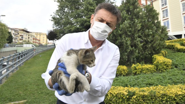 Başkan Bahadır yavru kediyi kurtardı