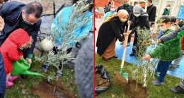 Beyoğlu Belediyesi, yeni doğan çocuklar adına bin 361 fidanı toprakla buluşturdu