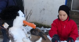 Tavşan kardan adamın burnunu yedi!