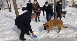 Başkan Erdem ve ekibi sokak hayvanları için farkındalık oluşturdu