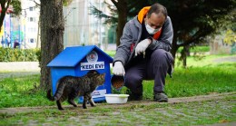 Kağıthane Belediyesi’nden sokak hayvanları için yeni bir dizi proje
