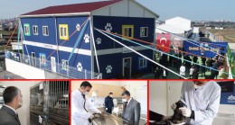 Sultanbeyli Belediyesi’nden Sokak Hayvanları için özel klinik