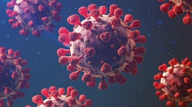 Türkiye’de 365 günde 58 milyondan fazla koronavirüs (Covid-19) haberi yapıldı